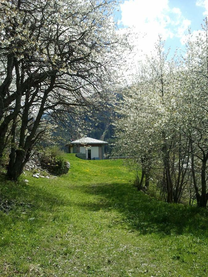 La Niche B&B La Thuile Exterior foto